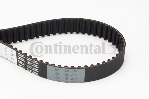 Timing Belt
